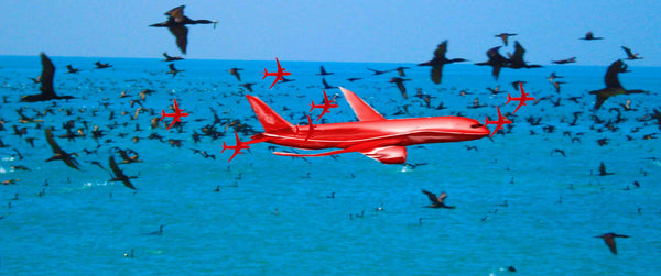 Cormorants flying over sea. Birds all over sea. Red aeroplanes in foreground.