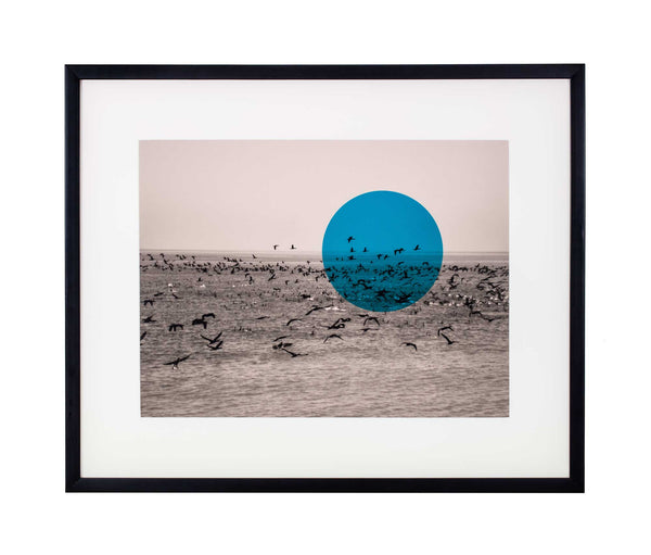 Small blue circle on black and white photo of cormorants flying over sea.