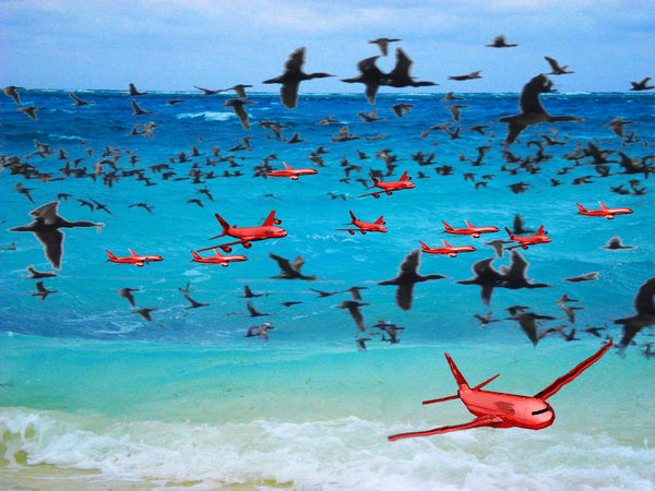 Cormorants flying over sea. Birds all over sea. Red aeroplanes in foreground.