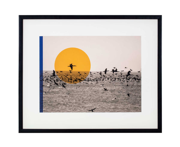 Yellow circle on black and white photo of cormorants flying over sea with slim navy rectangle on left.