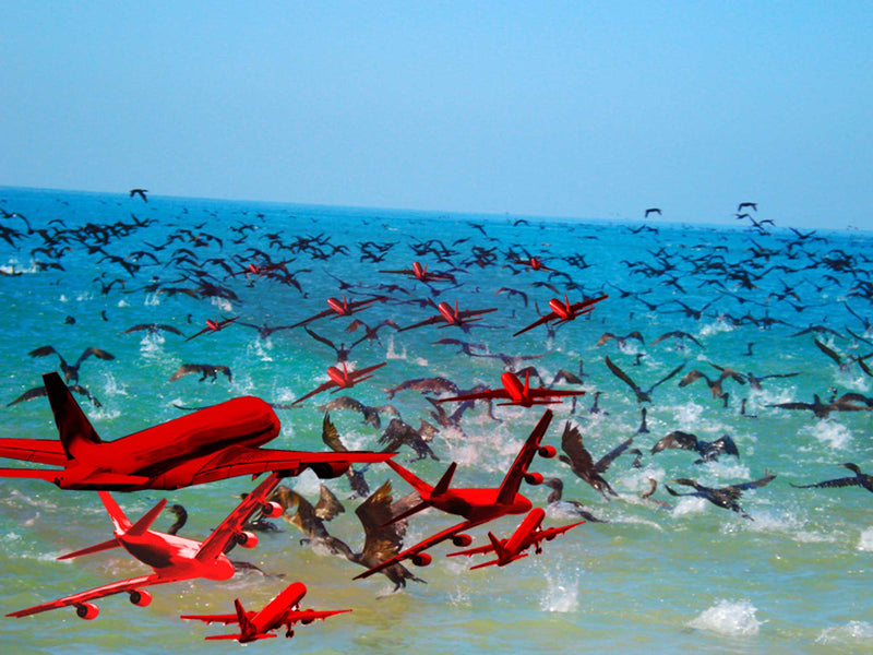 Cormorants flying over sea. Birds all over sea. Red aeroplanes flying out to sea.