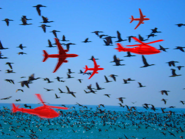 Cormorants flying over sea. Birds in background flying and dipping into sea.