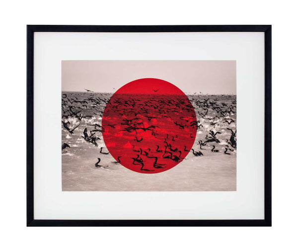 Large red triangle on black and white photo of cormorants landing in sea.