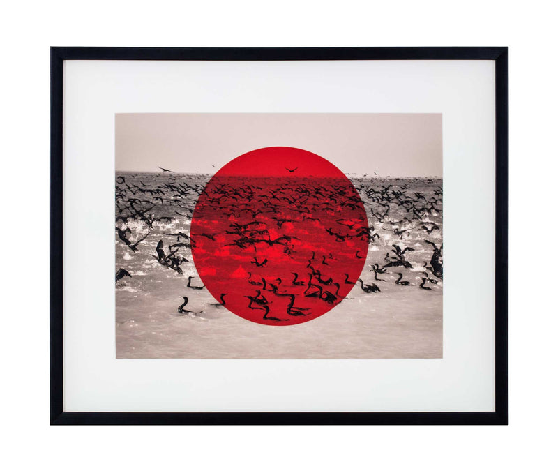 Large red triangle on black and white photo of cormorants landing in sea.