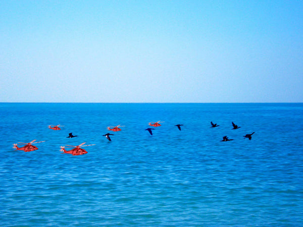 7 cormorants flying over the sea. 5 small red aeroplanes flying over the sea.