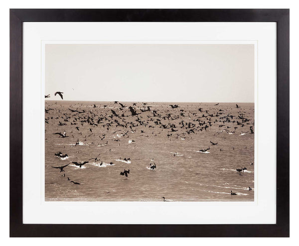 Gulp of cormorants over sea with flecks of waves. Sepia print.